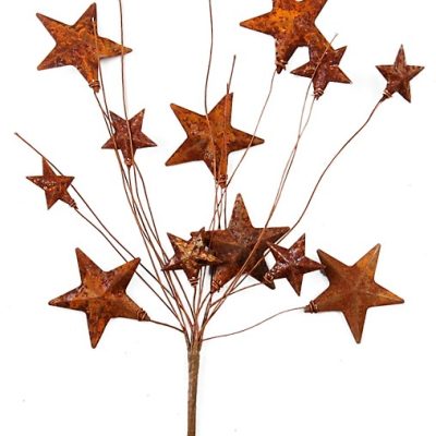 EV-023B - 18" Rusty Star Pick