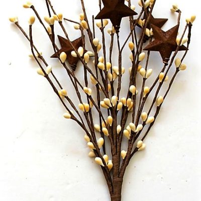 EV-502N 18" Red Holly Berries Pick with Rusty Stars