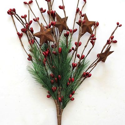 EV-507N Red Holly Berries with Rusty Stars