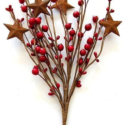 EV-603N 18" Red Holly Berries Pick with Rusty Star
